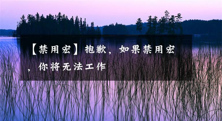 【禁用宏】抱歉，如果禁用宏，你将无法工作