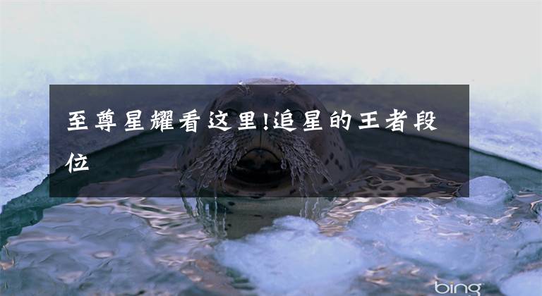 至尊星耀看这里!追星的王者段位