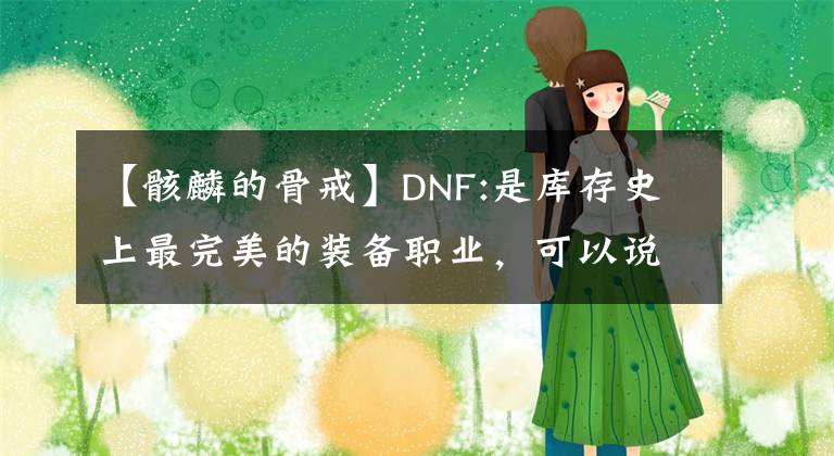 【骸麟的骨戒】DNF:是库存史上最完美的装备职业，可以说是千作之和。太完美了。