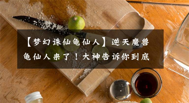 【梦幻诛仙龟仙人】逆天魔兽龟仙人来了！大神告诉你到底该怎么养