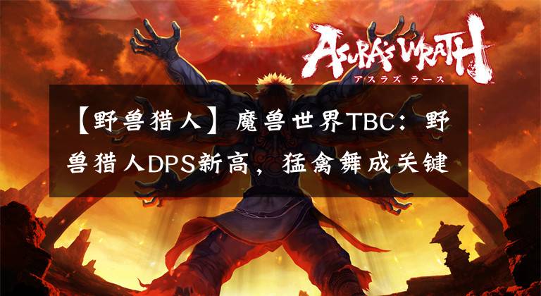 【野兽猎人】魔兽世界TBC：野兽猎人DPS新高，猛禽舞成关键，破甲不可或缺