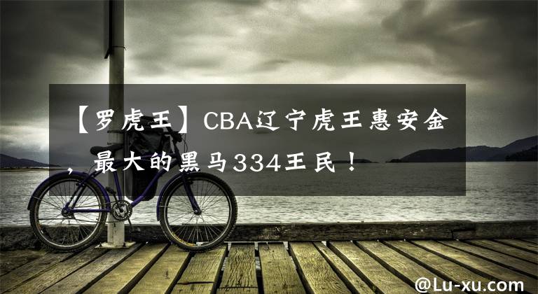 【罗虎王】CBA辽宁虎王惠安金，最大的黑马334王民！