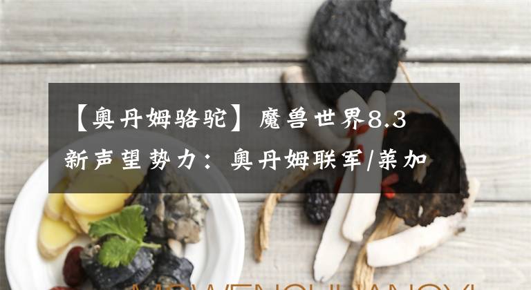 【奥丹姆骆驼】魔兽世界8.3 新声望势力：奥丹姆联军/莱加尼 军需官