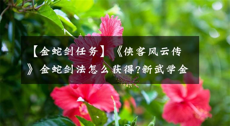 【金蛇剑任务】《侠客风云传》金蛇剑法怎么获得?新武学金蛇剑法获得方法