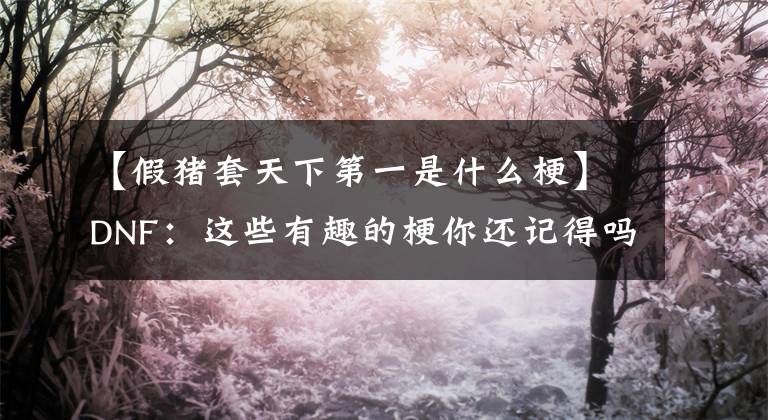 【假猪套天下第一是什么梗】DNF：这些有趣的梗你还记得吗？（一）