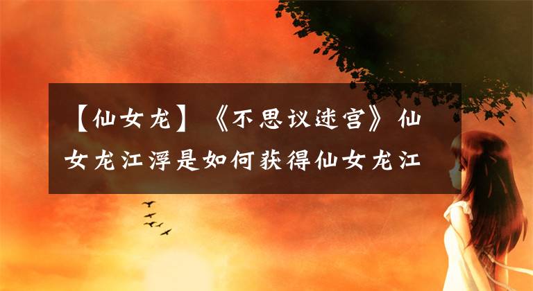 【仙女龙】《不思议迷宫》仙女龙江浮是如何获得仙女龙江浮得技能图鉴的？