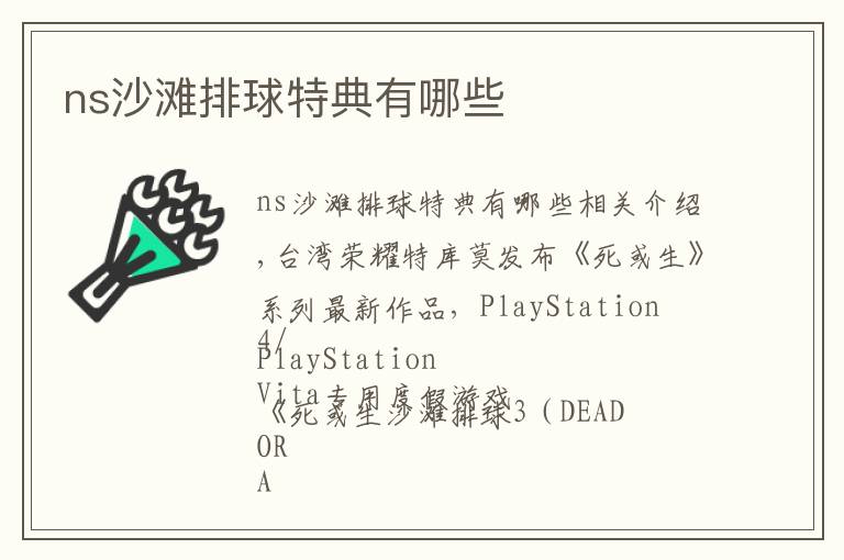 ns沙滩排球特典有哪些