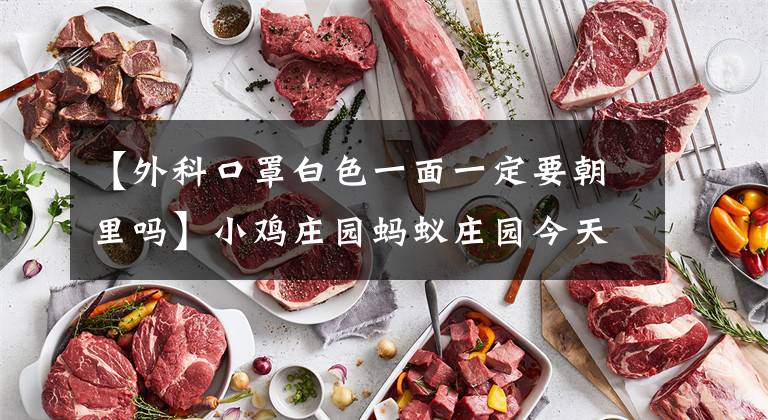 【外科口罩白色一面一定要朝里吗】小鸡庄园蚂蚁庄园今天的回答2022年4月13日