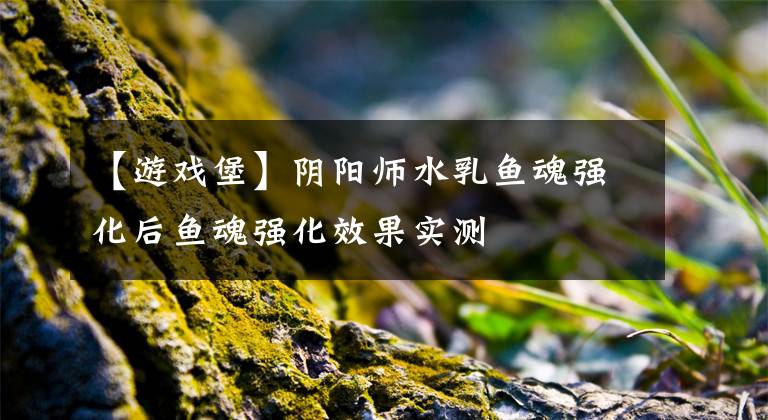 【游戏堡】阴阳师水乳鱼魂强化后鱼魂强化效果实测