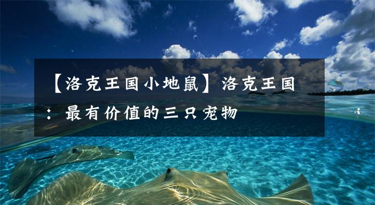 【洛克王国小地鼠】洛克王国：最有价值的三只宠物