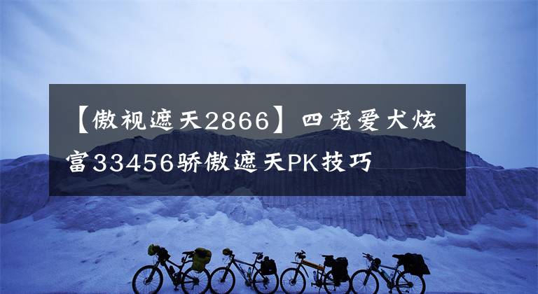 【傲视遮天2866】四宠爱犬炫富33456骄傲遮天PK技巧