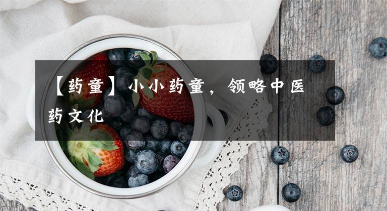 【药童】小小药童，领略中医药文化