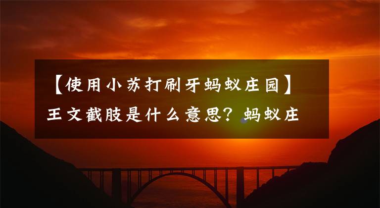 【使用小苏打刷牙蚂蚁庄园】王文截肢是什么意思？蚂蚁庄园7月13日的答复是最新的