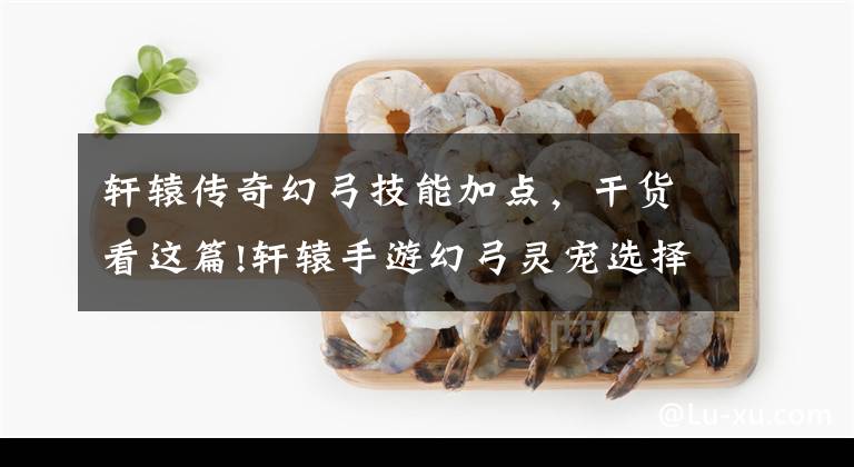 轩辕传奇幻弓技能加点，干货看这篇!轩辕手游幻弓灵宠选择与灵宠技能搭配攻略