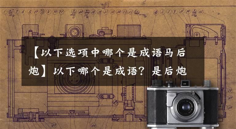 【以下选项中哪个是成语马后炮】以下哪个是成语？是后炮还是打破砂锅问到底？蚂蚁庄园今天的回答