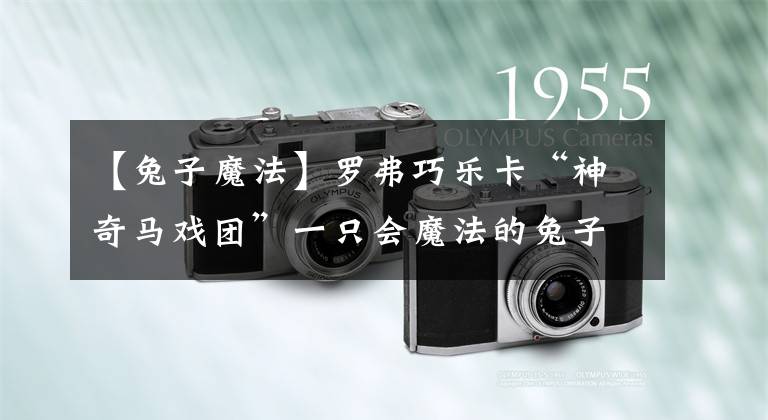 【兔子魔法】罗弗巧乐卡“神奇马戏团”一只会魔法的兔子，表演什么节目呢？