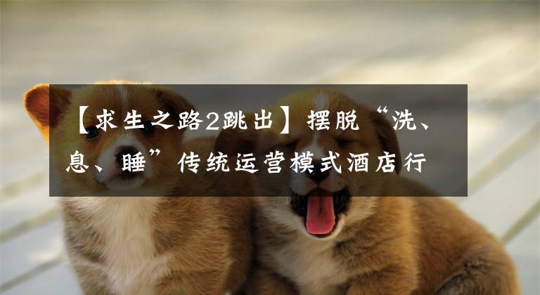 【求生之路2跳出】摆脱“洗、息、睡”传统运营模式酒店行业，谋求复苏。