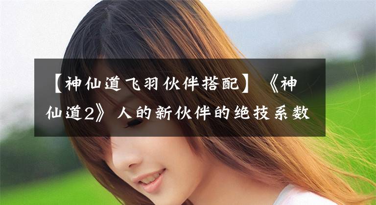 【神仙道飞羽伙伴搭配】《神仙道2》人的新伙伴的绝技系数分析