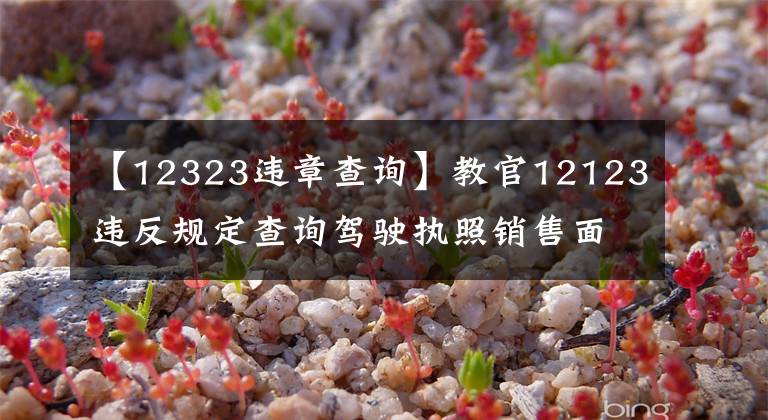 【12323违章查询】教官12123违反规定查询驾驶执照销售面签，证明一目了然。