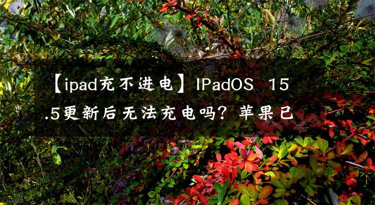 【ipad充不进电】IPadOS 15.5更新后无法充电吗？苹果已经开始调查ipad mini 6充电问题