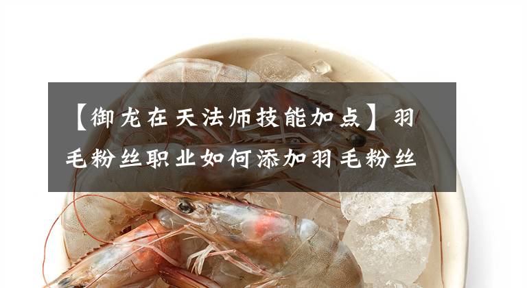 【御龙在天法师技能加点】羽毛粉丝职业如何添加羽毛粉丝，增加技巧分享？