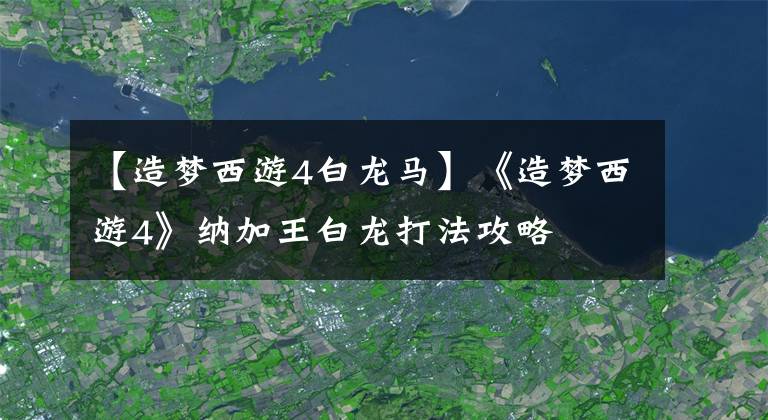 【造梦西游4白龙马】《造梦西游4》纳加王白龙打法攻略