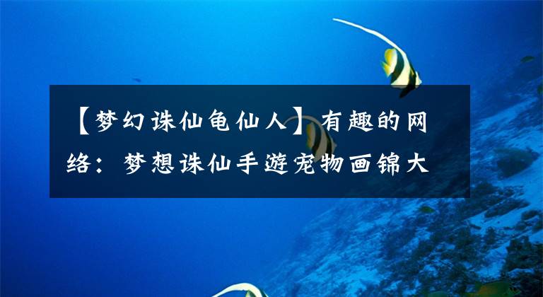 【梦幻诛仙龟仙人】有趣的网络：梦想诛仙手游宠物画锦大全宠物是什么