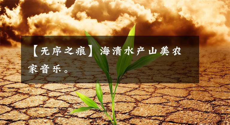 【无序之痕】海清水产山美农家音乐。