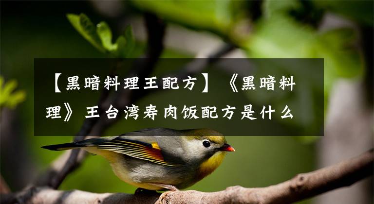 【黑暗料理王配方】《黑暗料理》王台湾寿肉饭配方是什么？