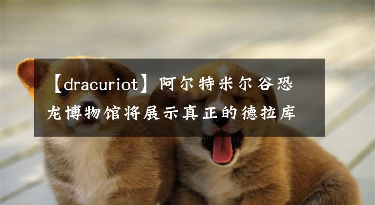 【dracuriot】阿尔特米尔谷恐龙博物馆将展示真正的德拉库拉