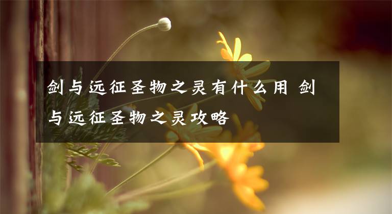 剑与远征圣物之灵有什么用 剑与远征圣物之灵攻略