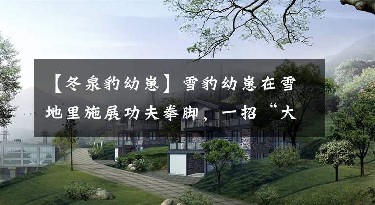 【冬泉豹幼崽】雪豹幼崽在雪地里施展功夫拳脚，一招“大鹏展翅”，还挺像回事的