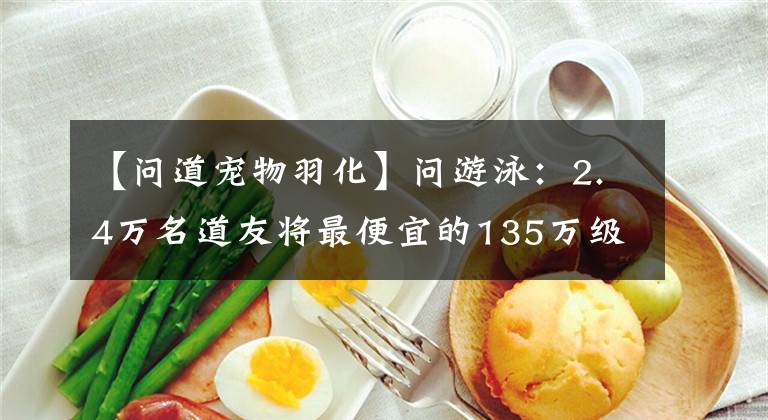【问道宠物羽化】问游泳：2.4万名道友将最便宜的135万级改为了8号，但仍然不能安心