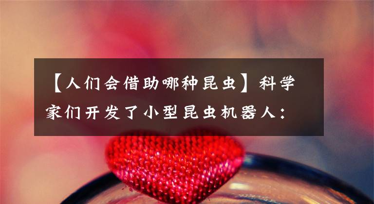 【人们会借助哪种昆虫】科学家们开发了小型昆虫机器人：摆脱导线，用激光供电
