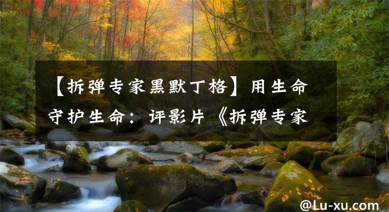 【拆弹专家黑默丁格】用生命守护生命：评影片《拆弹专家》（上）爆炸物及排爆装备