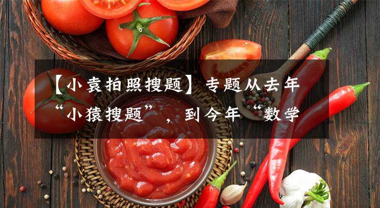 【小袁拍照搜题】专题从去年“小猿搜题”，到今年“数学泄密”，谁的问题？