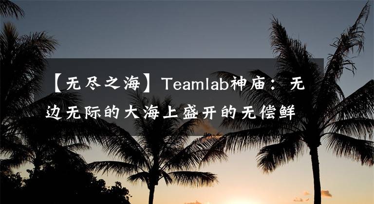 【无尽之海】Teamlab神庙：无边无际的大海上盛开的无偿鲜花。