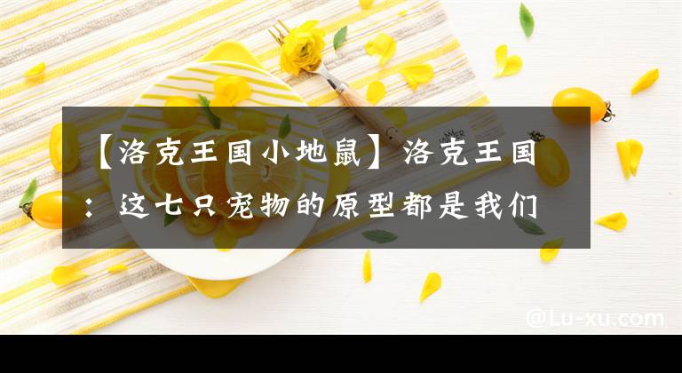 【洛克王国小地鼠】洛克王国：这七只宠物的原型都是我们熟悉的著名人物。