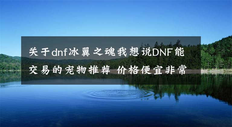 关于dnf冰翼之魂我想说DNF能交易的宠物推荐 价格便宜非常适合小号