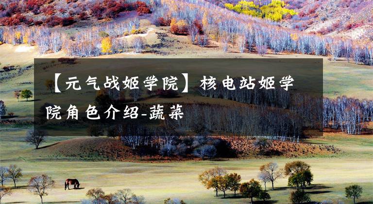 【元气战姬学院】核电站姬学院角色介绍-蔬菜