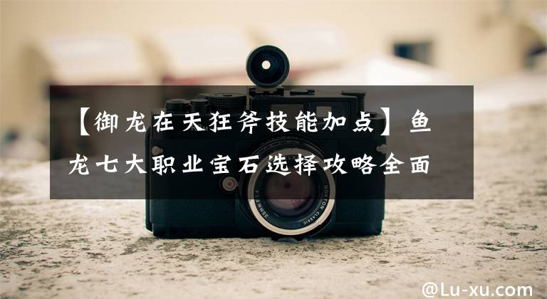 【御龙在天狂斧技能加点】鱼龙七大职业宝石选择攻略全面晋升属性