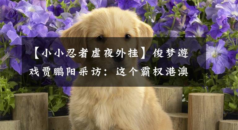 【小小忍者虚夜外挂】俊梦游戏贾鹏阳采访：这个霸权港澳台一个月的MMO有什么特别的？