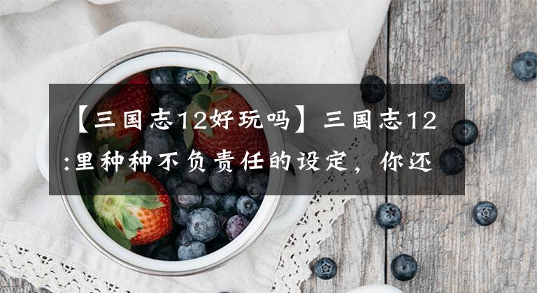 【三国志12好玩吗】三国志12:里种种不负责任的设定，你还知道哪些