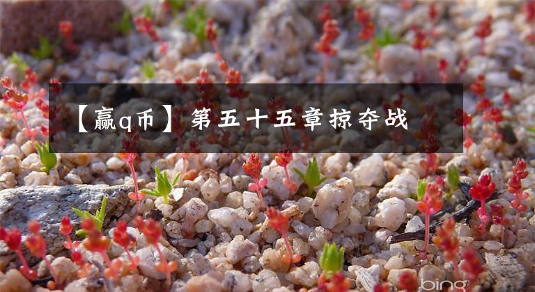 【赢q币】第五十五章掠夺战