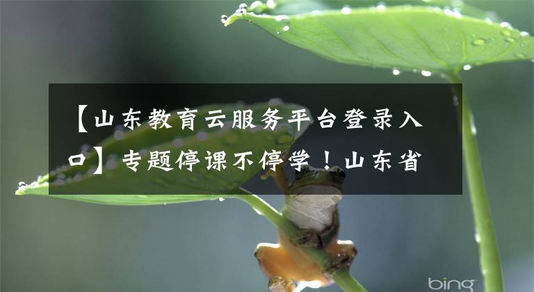 【山东教育云服务平台登录入口】专题停课不停学！山东省教育厅：延迟开学期间开展线上指导