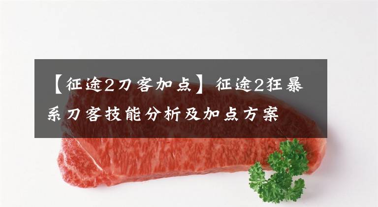 【征途2刀客加点】征途2狂暴系刀客技能分析及加点方案