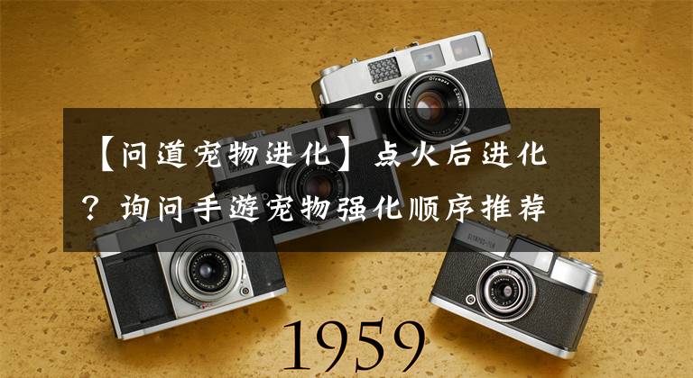 【问道宠物进化】点火后进化？询问手游宠物强化顺序推荐