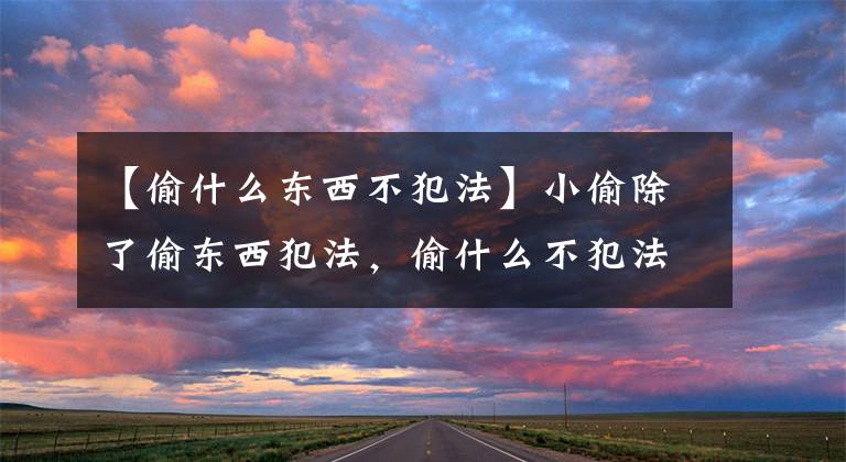 【偷什么东西不犯法】小偷除了偷东西犯法，偷什么不犯法？