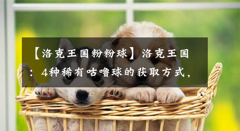 【洛克王国粉粉球】洛克王国：4种稀有咕噜球的获取方式，国王球最容易得到