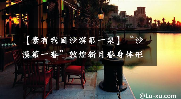 【素有我国沙漠第一泉】“沙漠第一春”敦煌新月春身体形态逐渐“丰满”